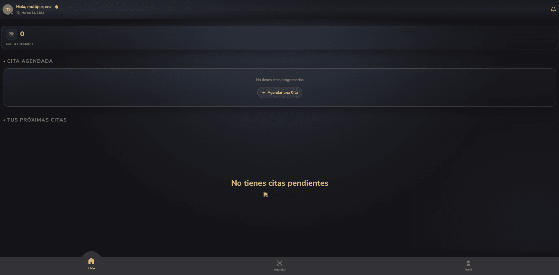 Inicio con el próximo turno y el gasto estimado